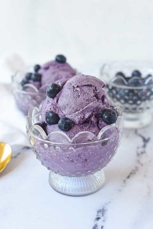 Blueberry Delight Ice Cream