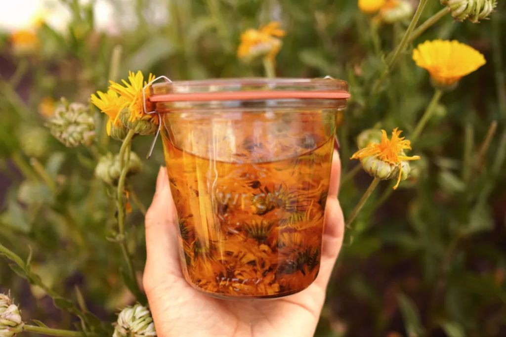 Calendula-infused Coconut Oil Balm