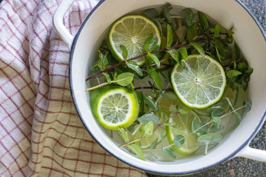Eucalyptus Mint Refresh Simmer Pot