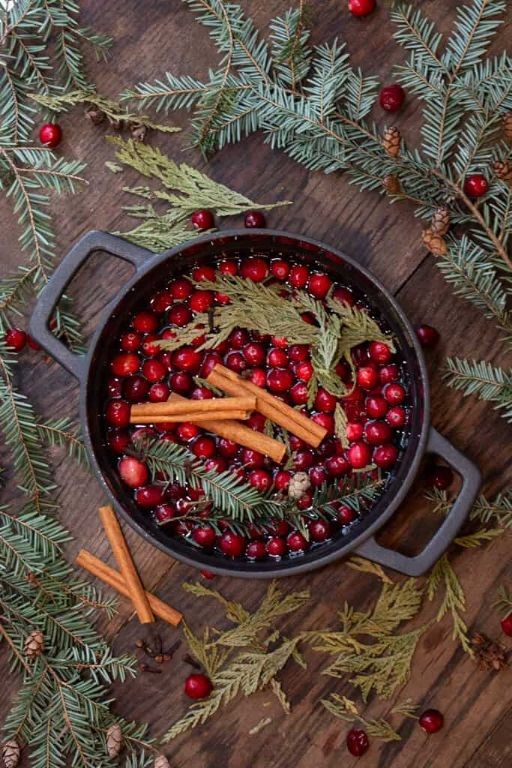 Pine Forest Winter Simmer Pot