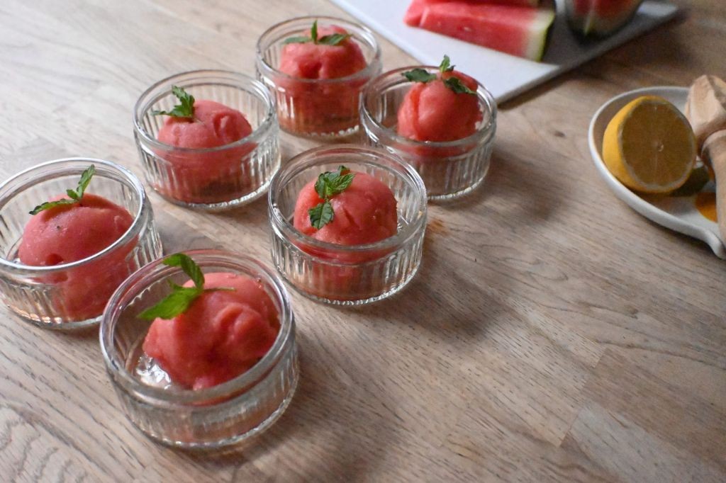 Watermelon Mint Vita Mix Sorbet